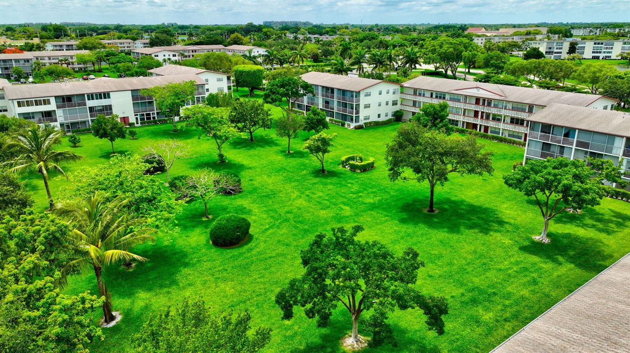 Aerial Views of the Corner Unit
