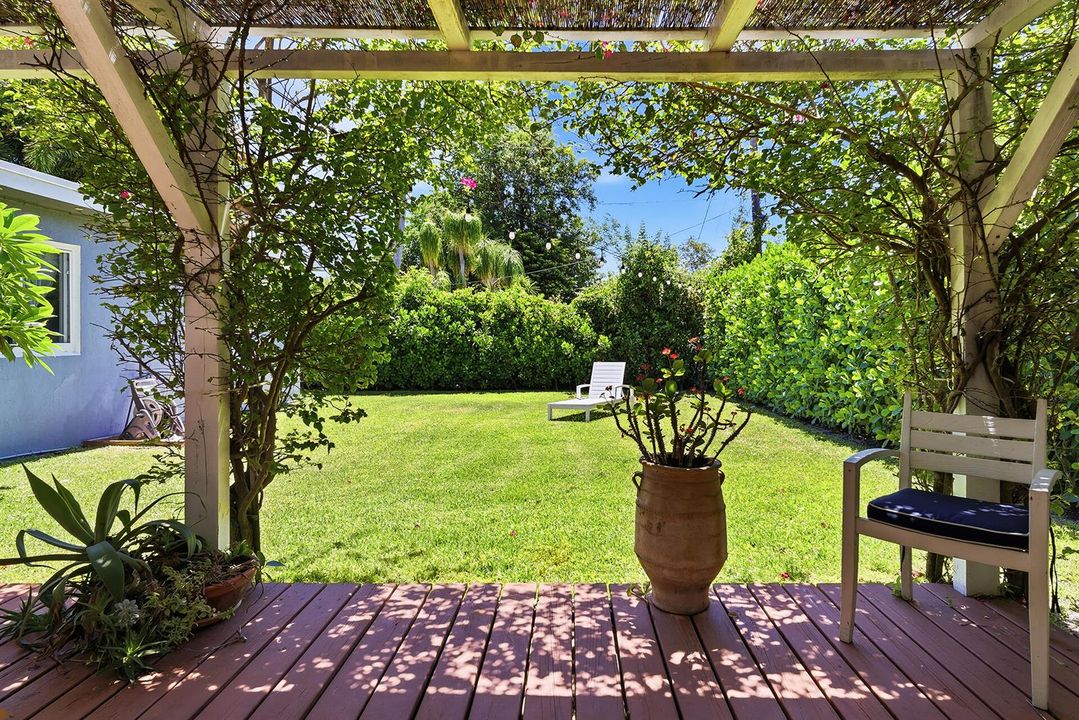 Backyard