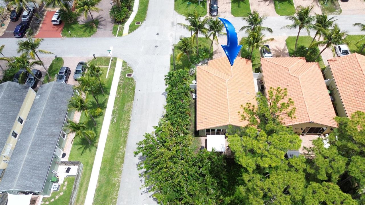 aerial view