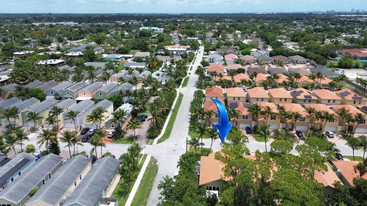 aerial view