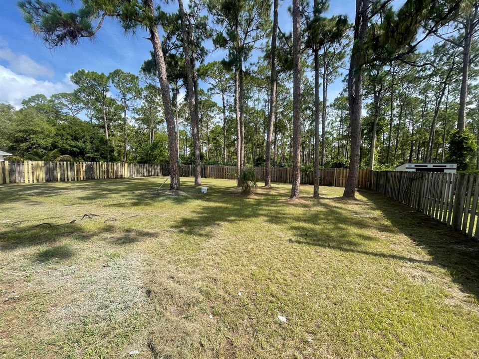 HUGE BACK YARD