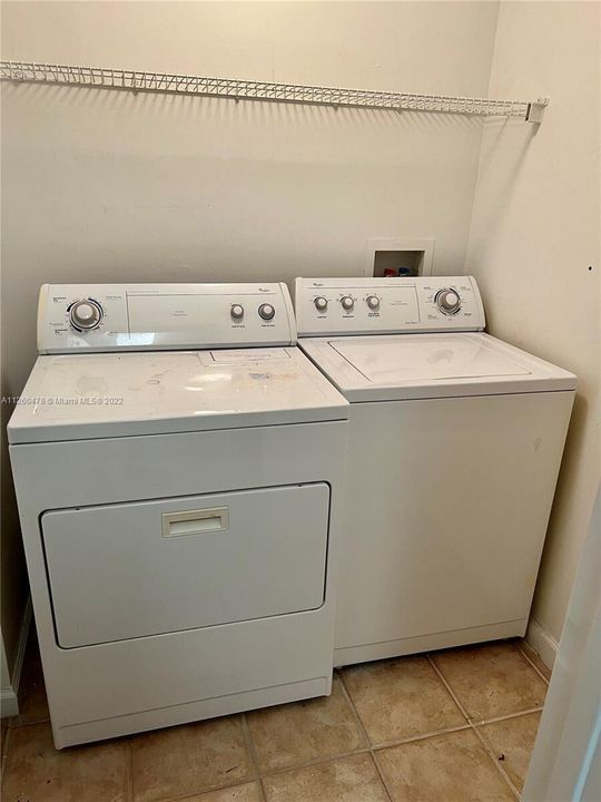 wd_9887 Baywinds 4305_4-23-25