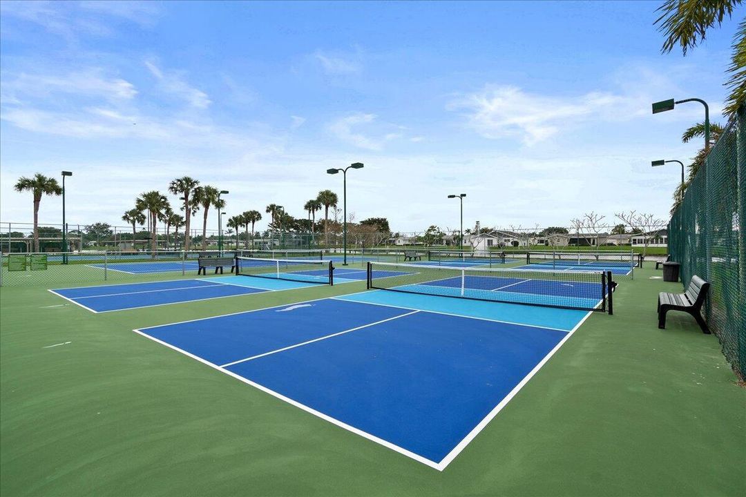 Community Pickle Ball