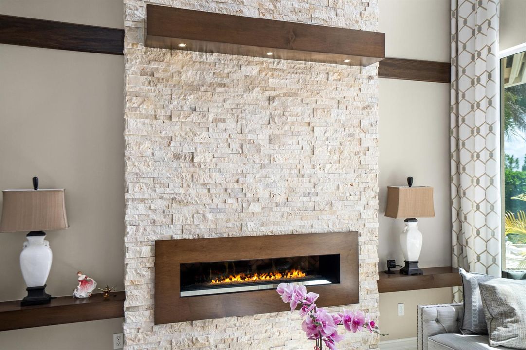 Electric Fire place