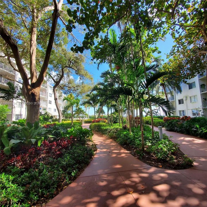 Such Tropical Landscaping