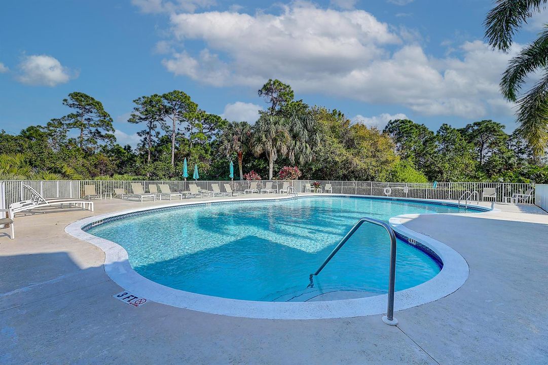 Main Pool
