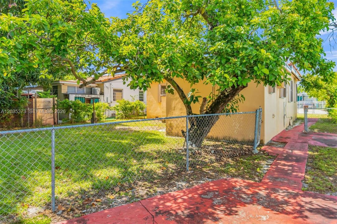 Back yard and side of home