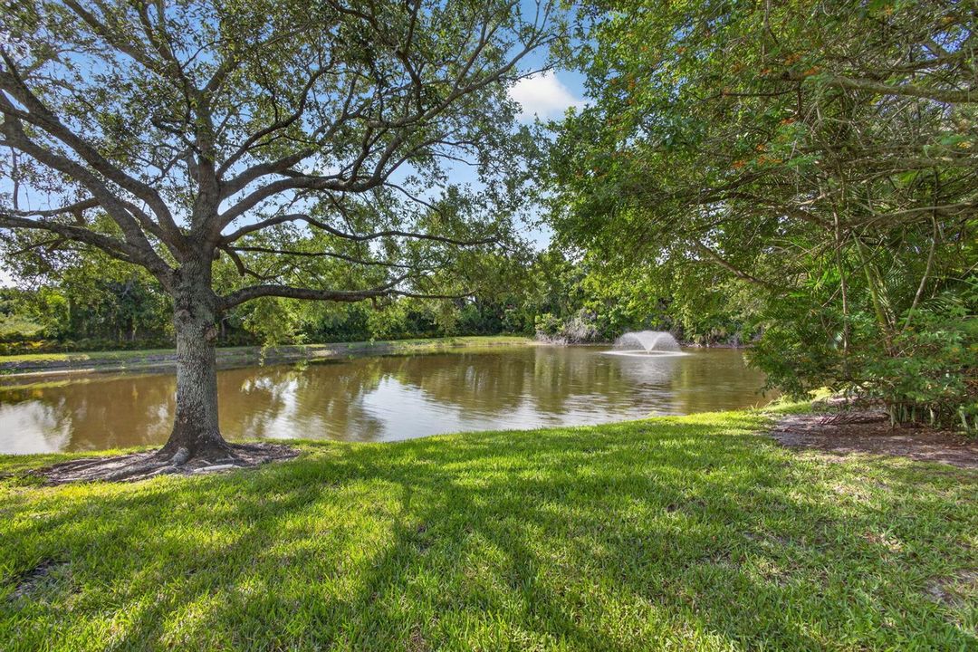69-web-or-mls-5D1A5641