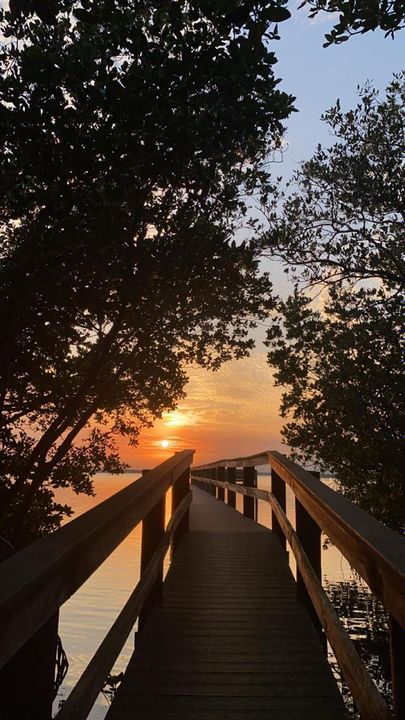 Walk out Dock