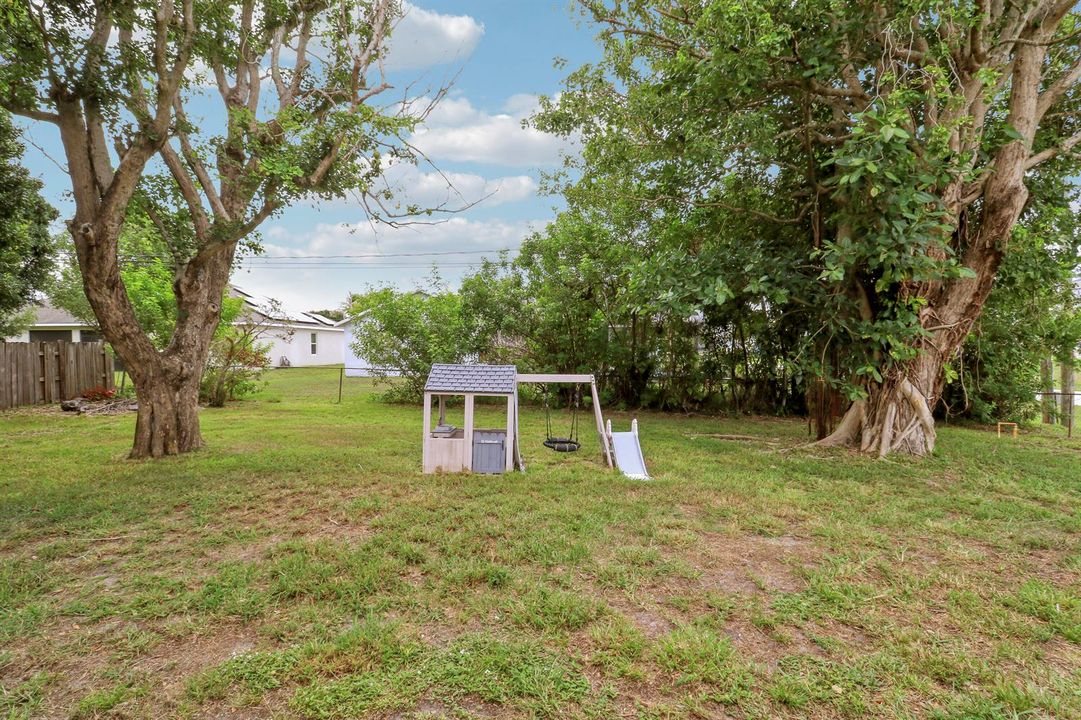 Large Backyard