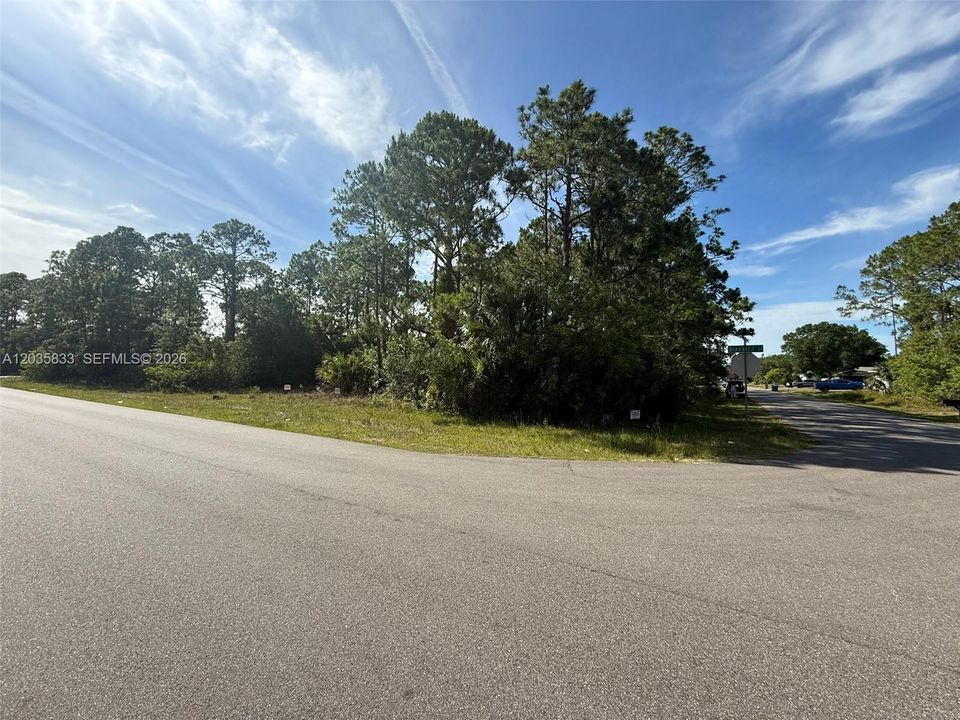 For Sale: $60,000 (0.25 acres)