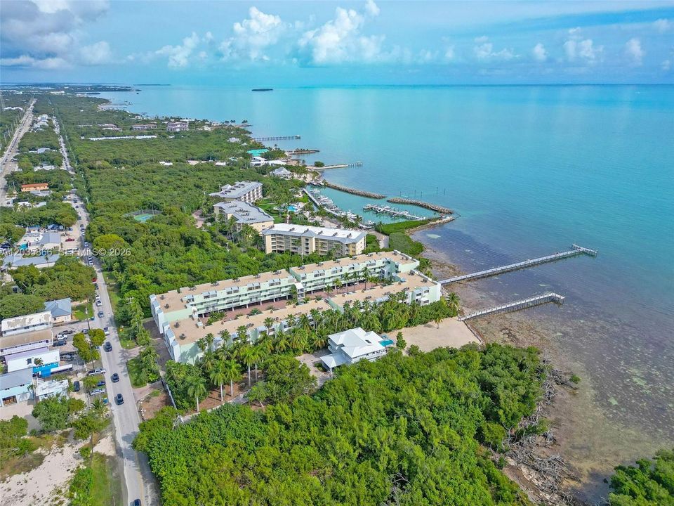 Arial View
