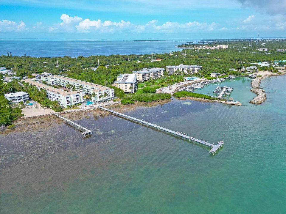 Arial View
