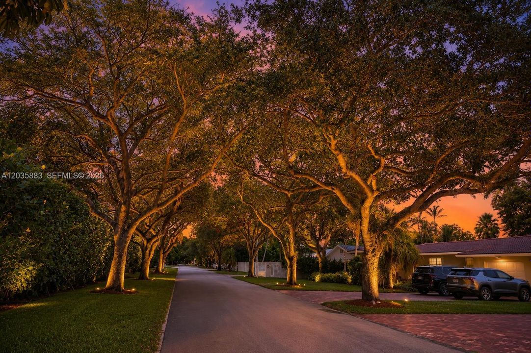 Virtual Twilight Image
