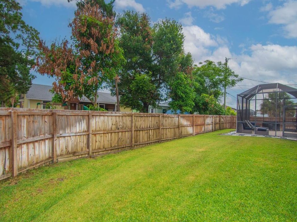 back yard