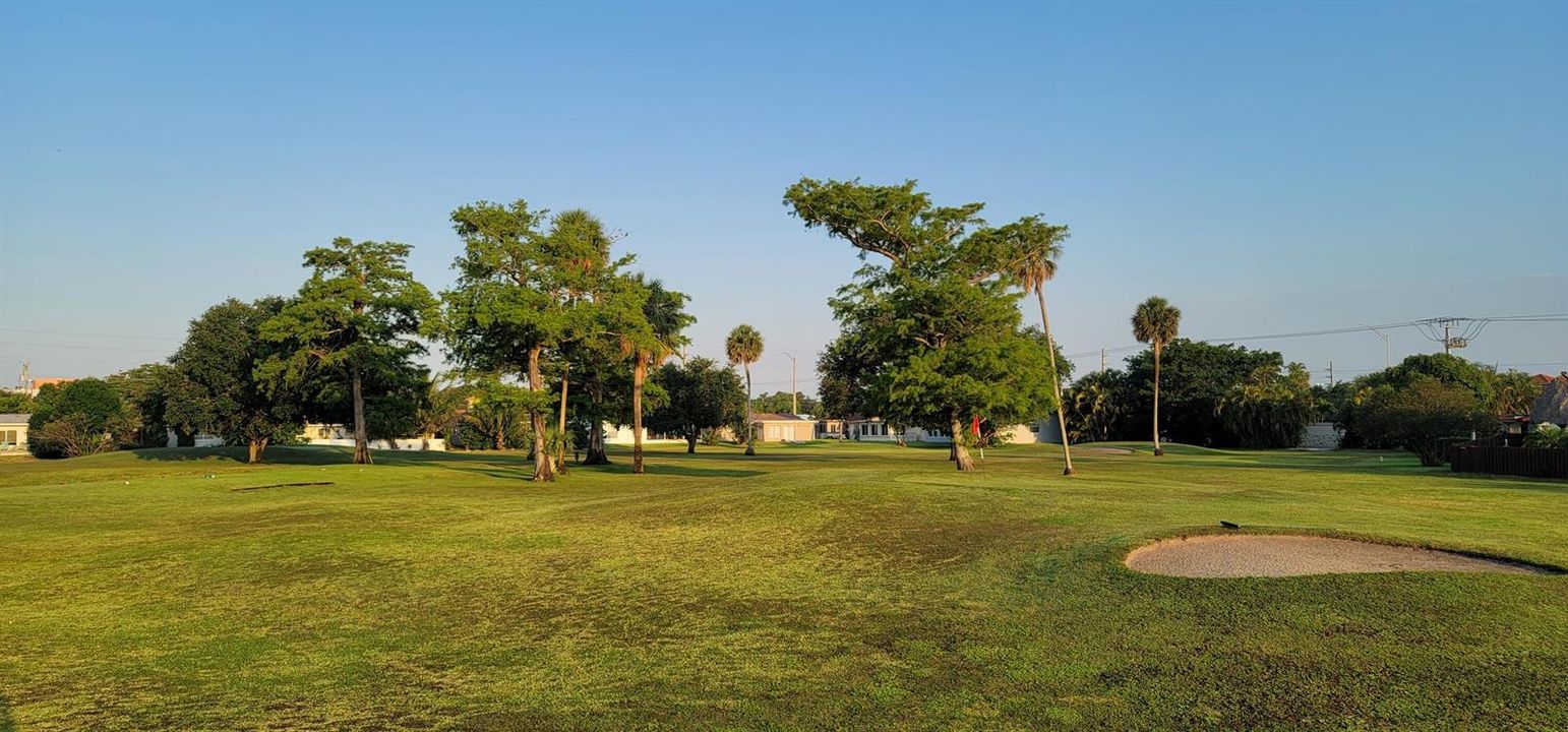 Golf Course (Sandtrap)