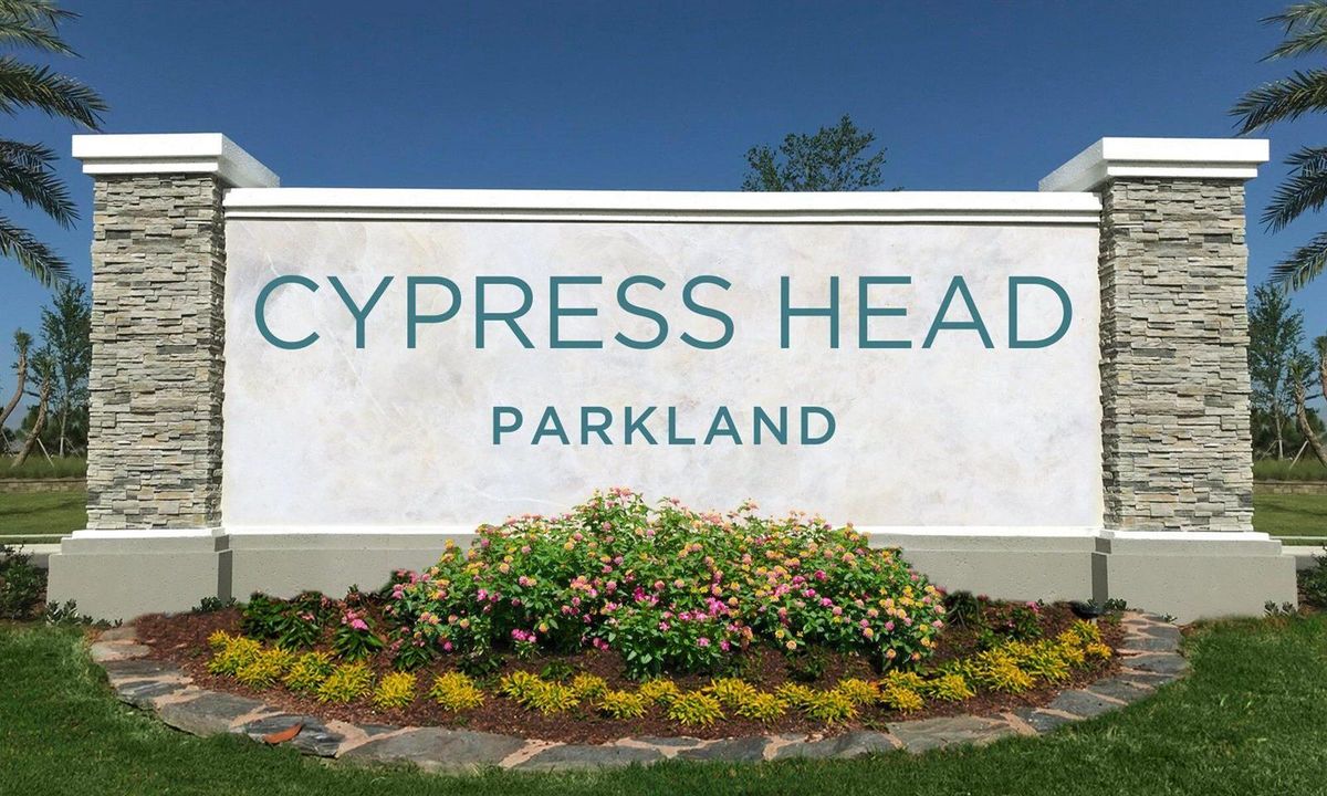 Cypress-Head-2000x1200
