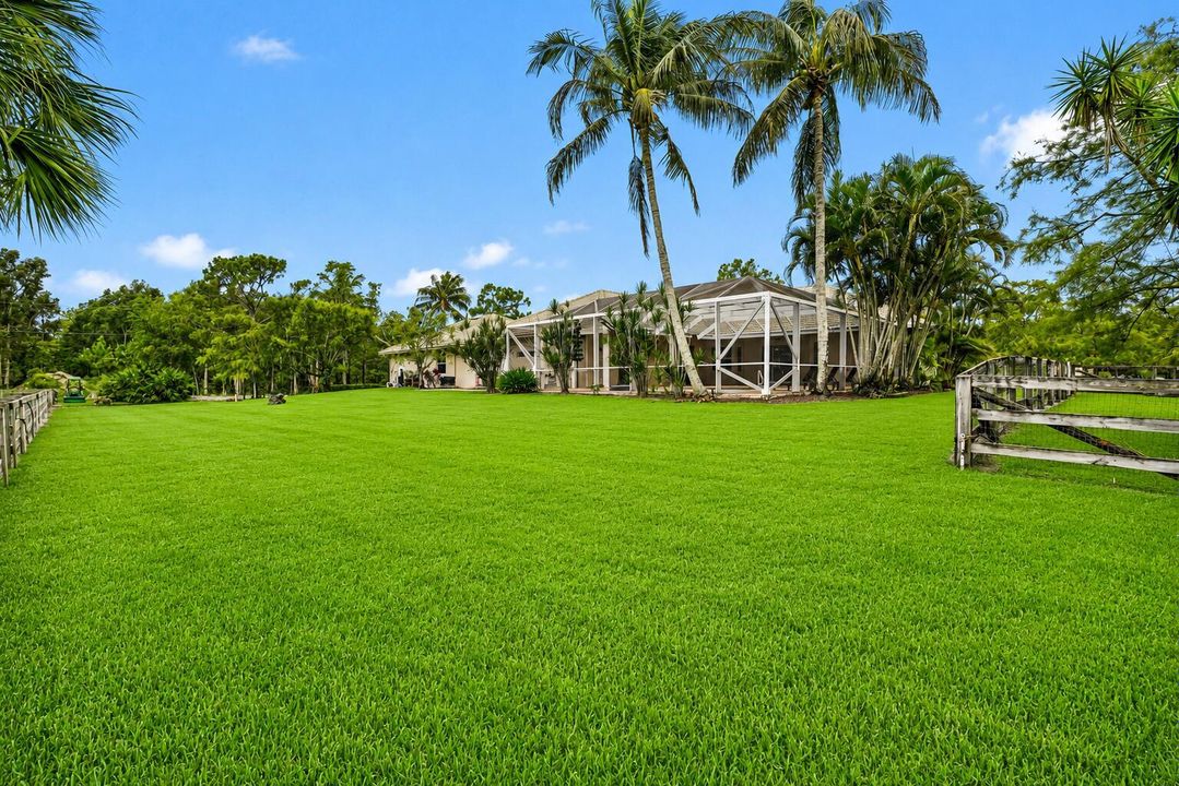View of Backyard