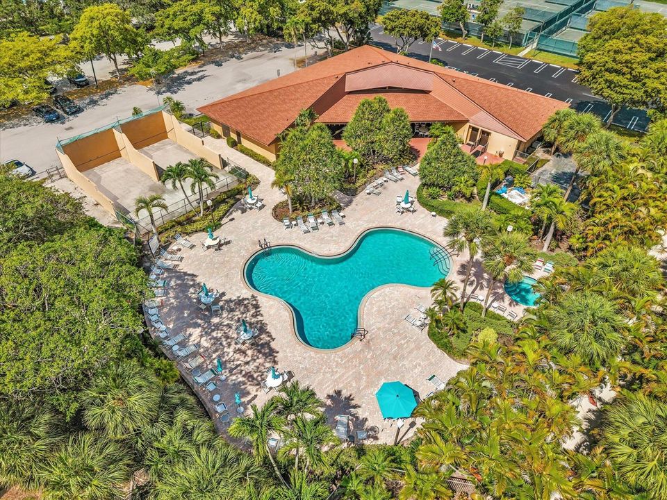 Pool and Amenities