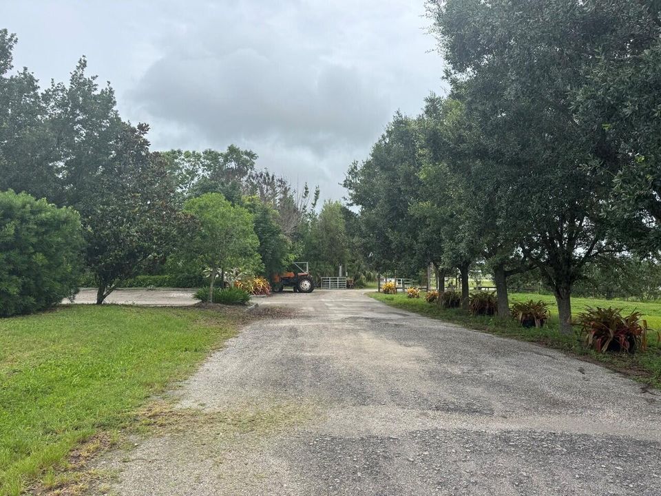 Driveway