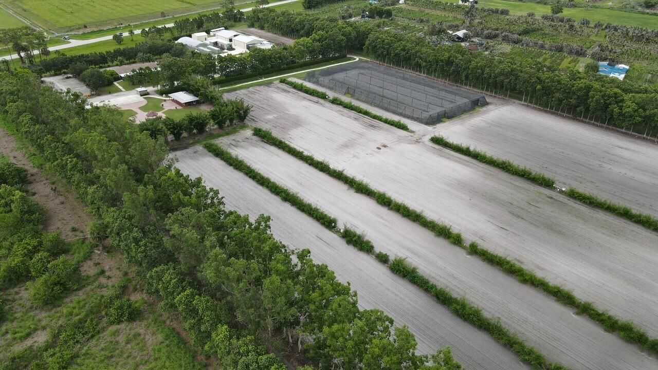 Aerial 15