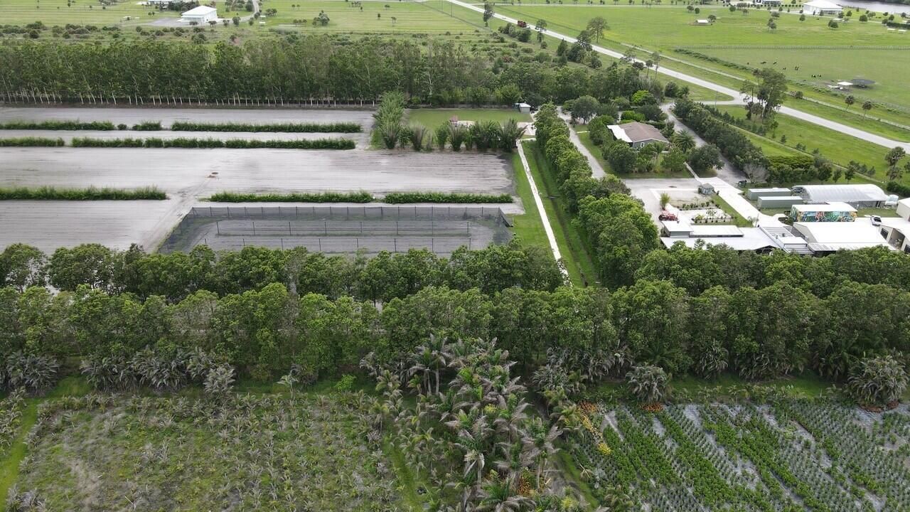Aerial 7