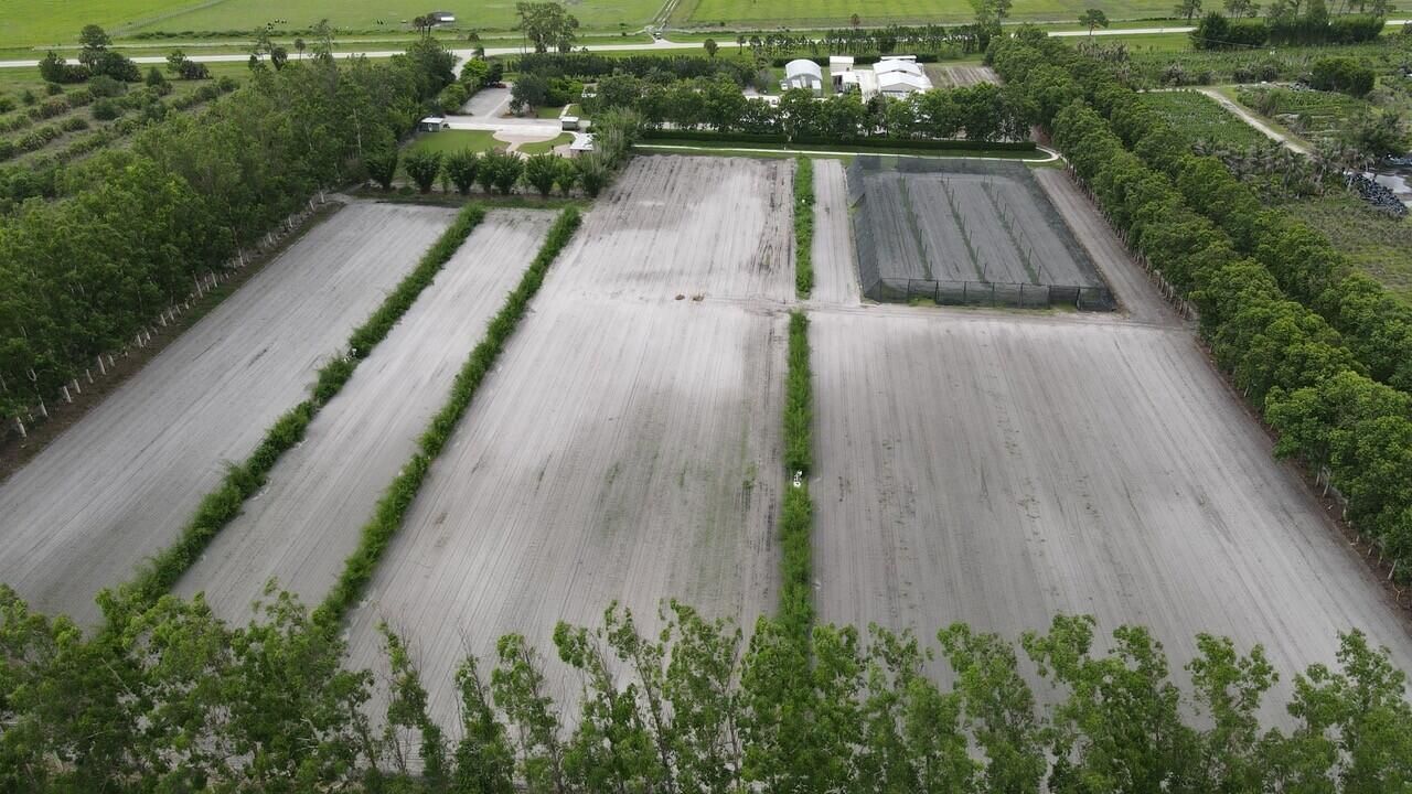 Aerial 12