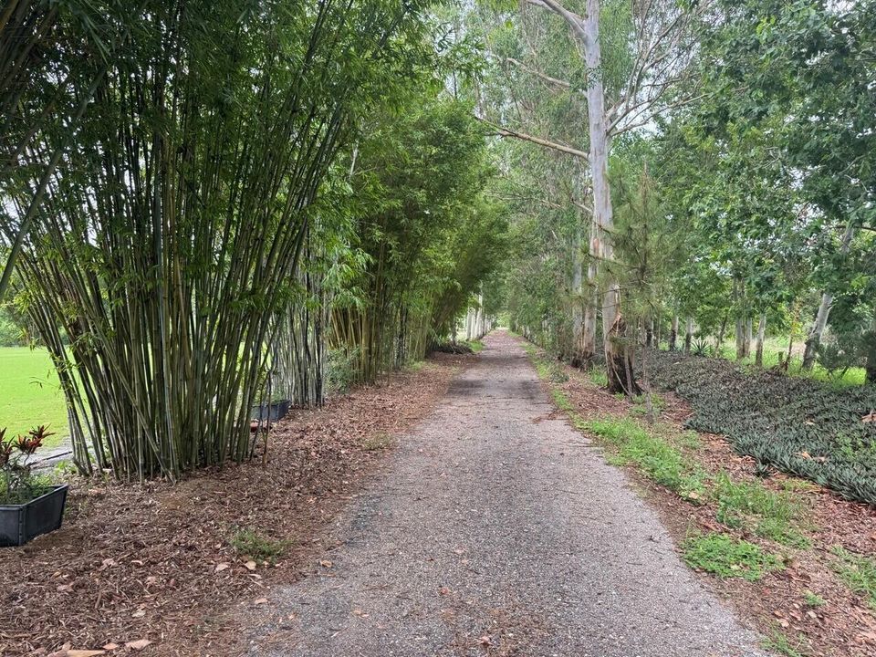 Pathway