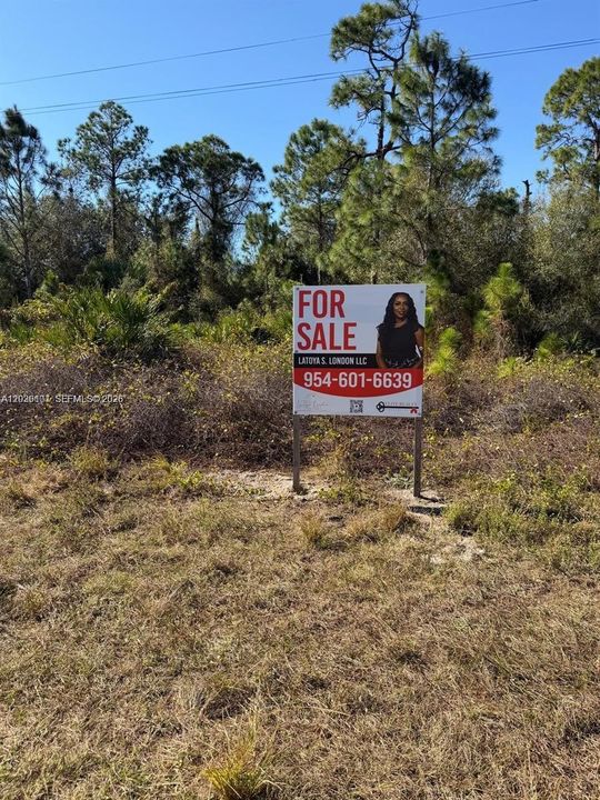 For Sale: $20,900 (0.26 acres)