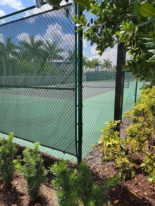Tennis Court