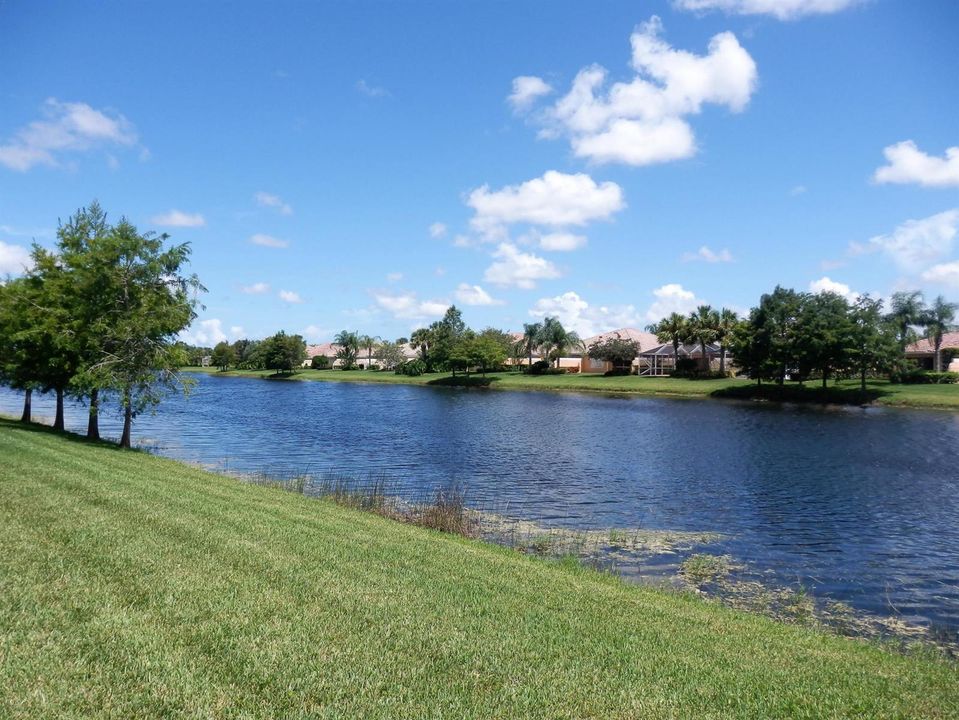Rear Water View