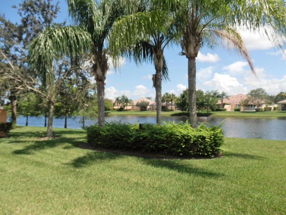 Rear View Yard