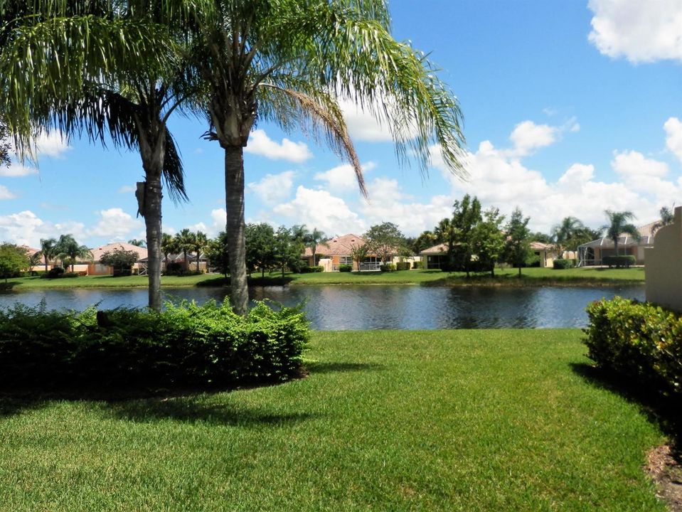 Additional View Rear Yard2