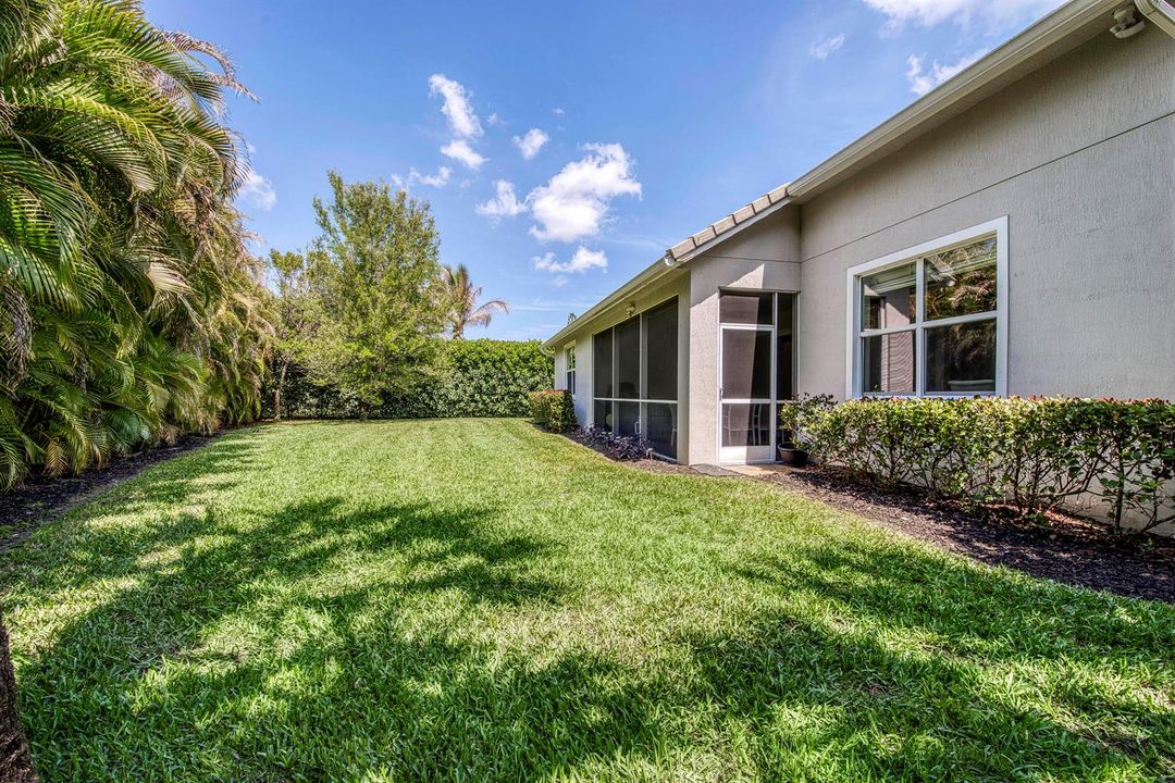 Large Backyard