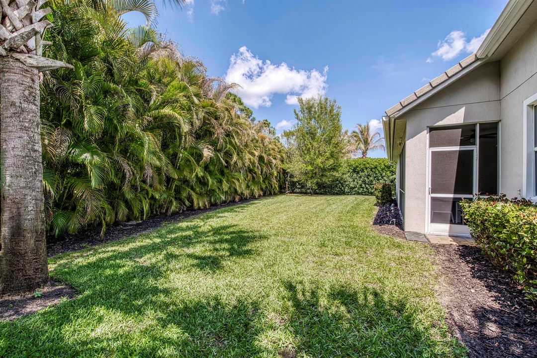 Large Backyard