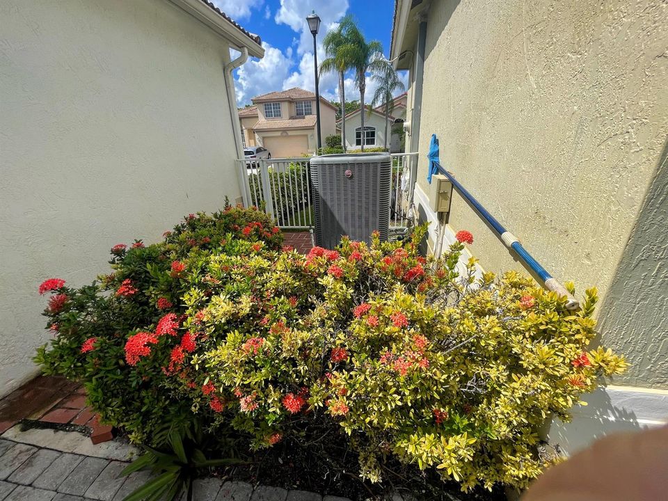 side yard