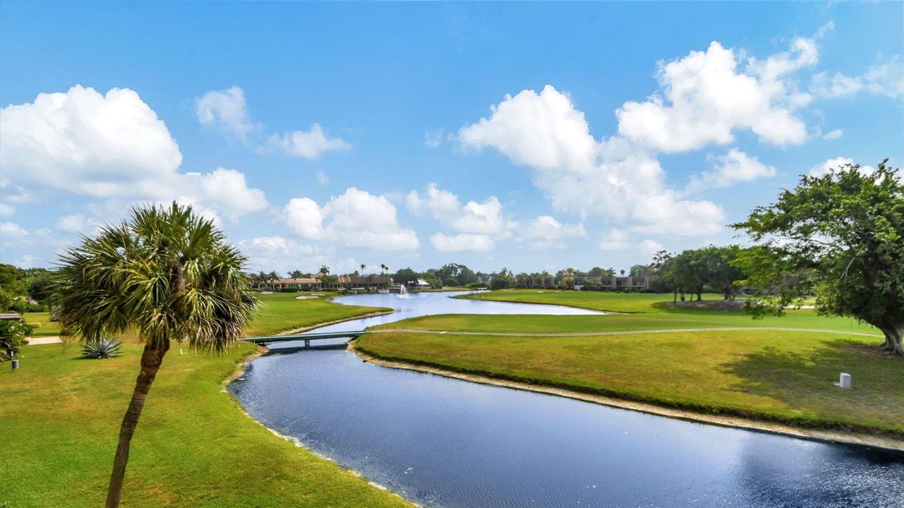 Lake view