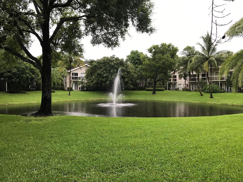 Pond
