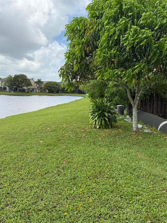 BACKYARD WITH LAKE 1