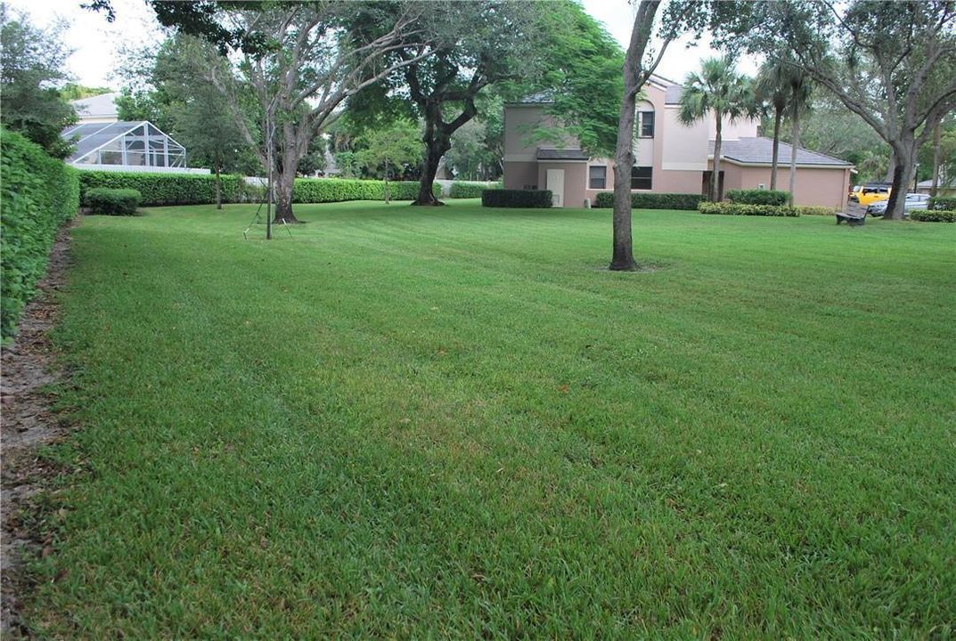 Backyard Area