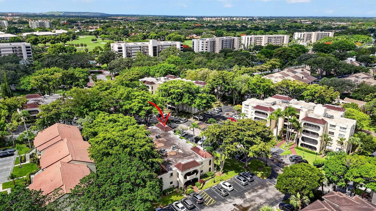 Community View 1