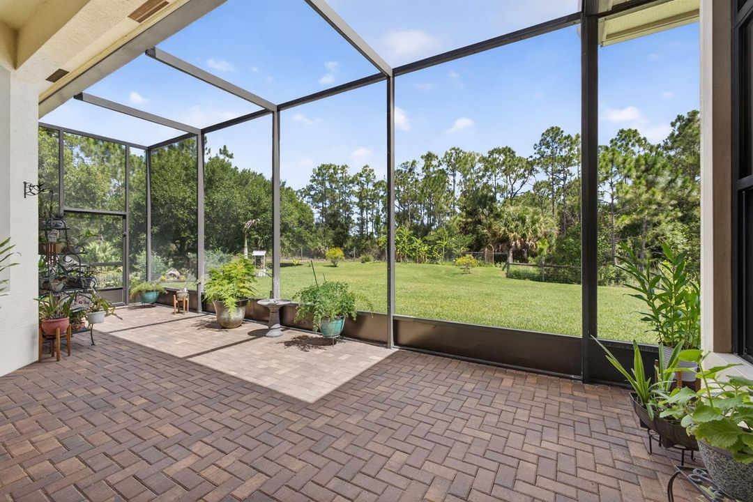 67-web-or-mls-5D1A3642