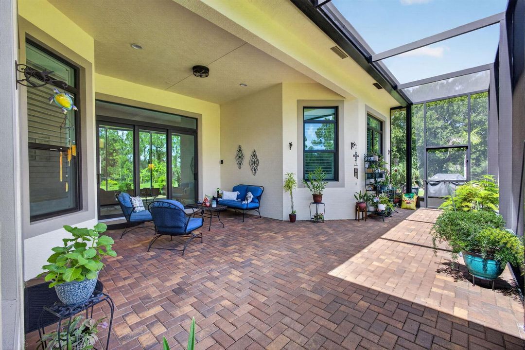 68-web-or-mls-5D1A3646