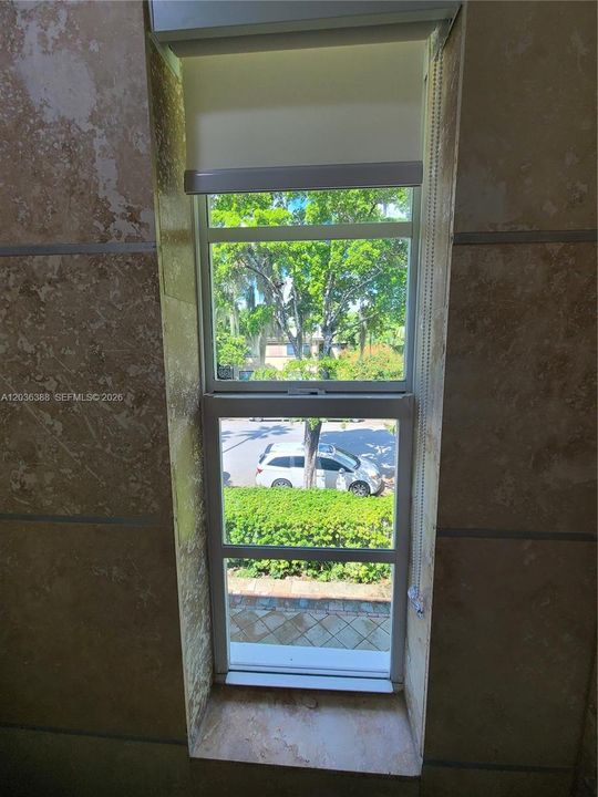 Shower window