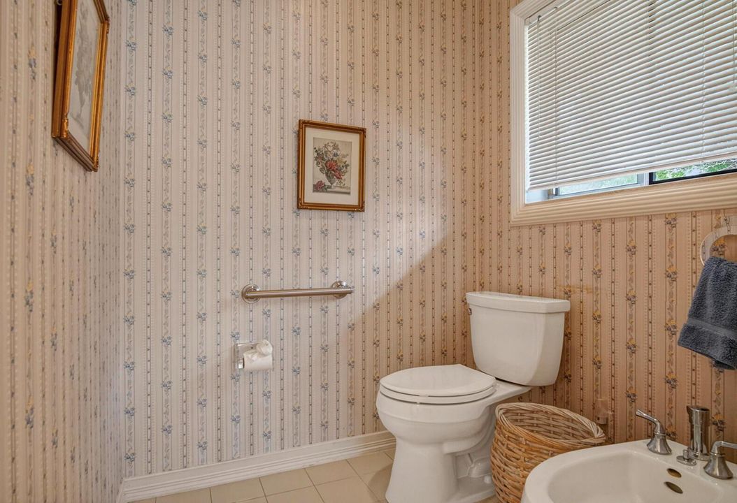 Primary bath toilet and bidet