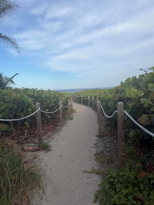 Walks on the beach in 3 miles