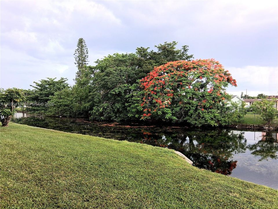 LAKE
