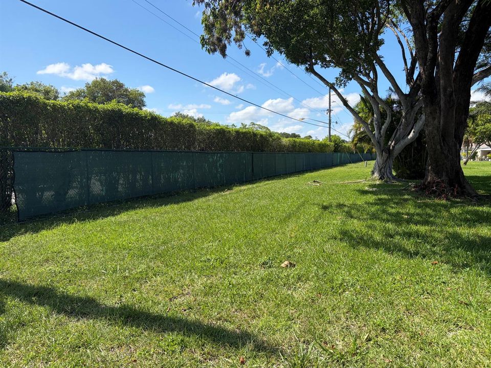 Back Fence
