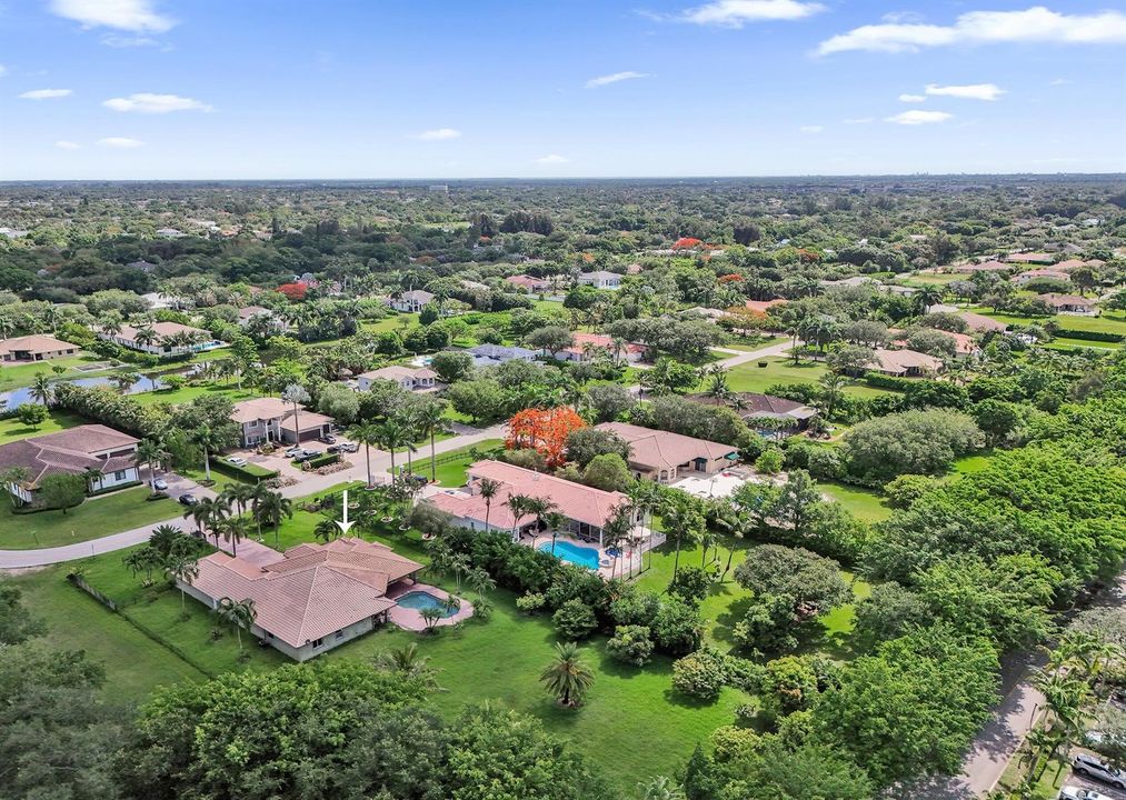 DJI_20260608104201_0433_D