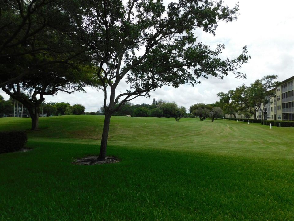 DSCN5456